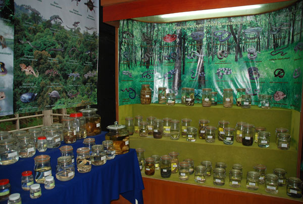 1-DSC_0048 (45)